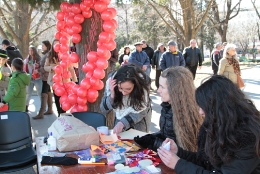 Катинарчета за вечна любов поставиха младежи в парк Пети октомври в Стара Загора_3