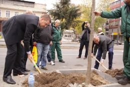 Кметът даде начало на кампания по градско озеленяване на Стара Загора_1