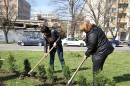 Общинари засадиха 130 дръвчета в Стара Загора_6